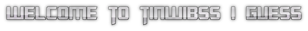 welcome to tinwibss i guess
